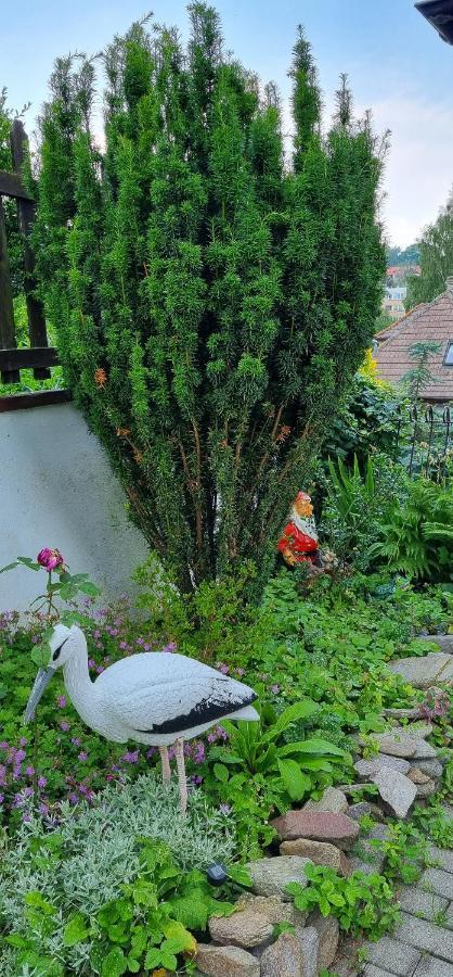 Pokoje Goscinne Duszniki Zdrój Dış mekan fotoğraf